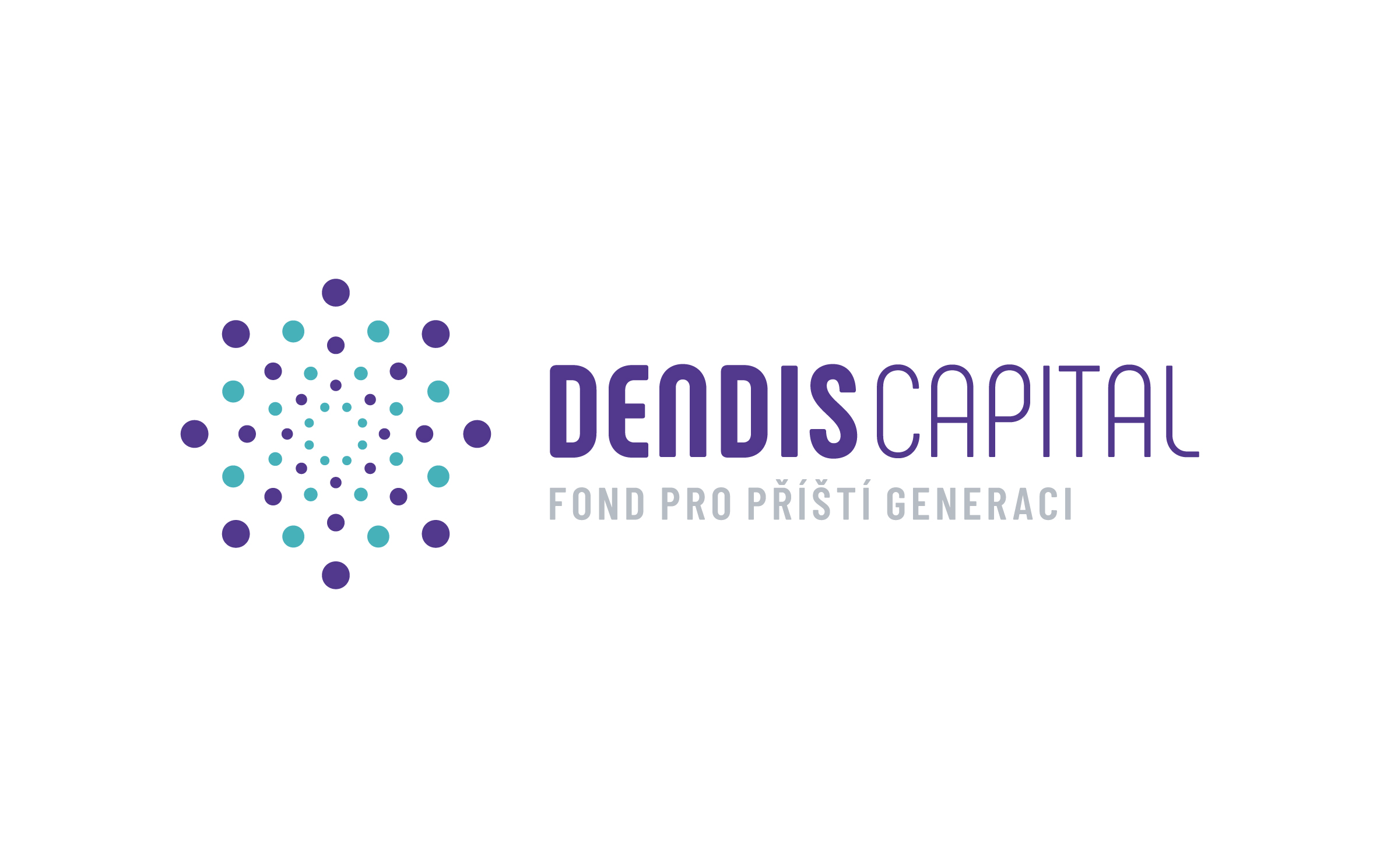 Dendis Capital Nadační fond 